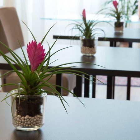 Parco Dell'Adige Rooms 维罗纳 外观 照片
